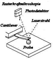 Prinzip der Rasterkraftmikroskopie