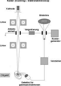 Schematische Darstellung der Funktionsweise eines Rasterelektronenmikroskops